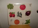 SEALED SHRINK BEST OF CREAM ATCO LABEL
