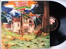 MADDER LAKE - BUTTERFLY FARM - RARE AUSSIE ROCK LP EX