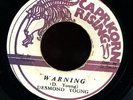 Desmond Young Warning JA orig 45 Listen