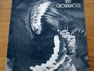 GROUNDHOGS SPLIT TONY MCPHEE LIBERTY 1971