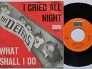 THE DETAILS – I CRIED ALL NIGHT – RARE GERMAN BEAT