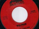 MUSTANG SURF GARAGE ROCKABILLY - RANDY FULLER  (HEAR)