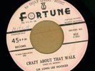 JOHN LEE HOOKER--Crazy Bout. Rare blues 45. FORTUNE 855