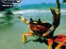Prodigy - Fat of the Land