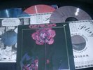 GENESIS - Live in Montreal, 3 LP-BOX, farbiges Vinyl