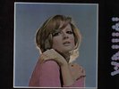 MINA more than strangers REGALIA USA LP