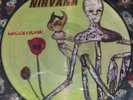 Nirvana Incesticide Picture Disc LP Smashing Pumpkins