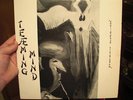 Teeming Mind - Moderately Gregarious SYNTH LONER HEAR