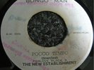 NEW ESTABLISHMENT Pocco Tempo 7