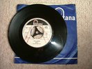 DR Z  Lady Ladybird Fontana Demo.7
