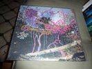 ANIMAL COLLECTIVE Here Comes The Indian lp ORIG PRESS