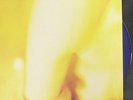 SMASHING PUMPKINS PISCES ISCARIOT LP COLOR VINYL INSERT