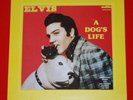 Elvis 