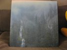 Wolves in the Throne Room Diadem 12 Stars US 2xlp NM