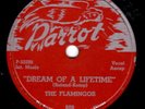 FLAMINGOS doo wop group 78 PARROT “Dream of a Lifetime”