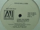 PROMO* David Williams - Come On Down Boogie People