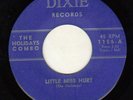 GARAGE PUNK FUZZ on DIXIE--HOLIDAYS COMBO-- -HEAR BOTH