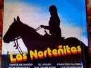 LAS NORTENITAS 