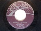 RARE BLUES 45 WEB TOP CHECKER LAB#822 