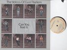 THE VOICES OF EAST HARLEM-CAN YOU FEEL IT-R&B/SOUL LP