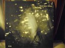 YEAH YEAH YEAHS - IS IS 2X7