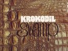 KROKODIL Swamp German Liberty orig psych Krautrock prog