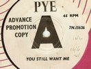 KINKS:You Still Want Me-You Do Something To Me-U.K. DJ