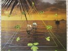 SUN ARAW Beach Head LP (NNF) Wavves Grouper