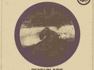 ### Death in june - To drown a rose -  Lesen