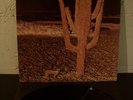 INDIAN SUMMER S/T ORIGINAL NEON RARE PSYCH 1971