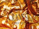 Cranes Forever LP & 12