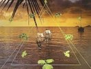 Sun Araw - Beach Head LP (Not not fun ducktails mcguire