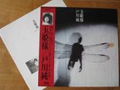 JUN TOGAWA TAMAHIME  Japan 80's New Wave Synth Techno