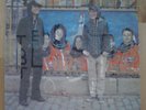 Terrestrial Tones LP Black Dice Animal Collective