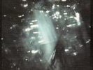 Yeah Yeah Yeahs - ISIS Is Is 7
