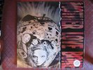 MOTHER LOVE BONE LP APPLE SOUNDGARDEN PEARL JAM NIRVANA