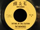 THE MONGRELS -  RARE PRIVATE CANADIAN GARAGE PSYCH 45