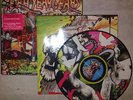 Yeah Yeah Yeahs - Fever to Tell - Rare Picture Disc