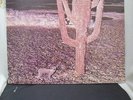 INDIAN SUMMER S/T LP 1971 RARE PROG RCA NEON GATEFOLD