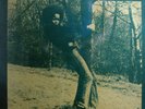Big Bamboo ...reggae sampler