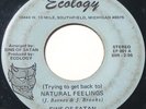 Crossover Soul / Funk 45 - SINS OF SATAN - ECOLOGY