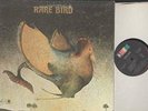 RARE BIRD - SELF TITLED - ROCK LP