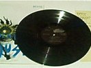 THE DECAYES-Accidental (RARE,1979 LP,Ltd,hand-painted)
