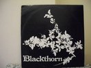 VERY RARE FOLK LP - BLACKTHORN - UK WHM RECORDS1977