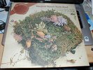 MANFRED MANN'S EARTH BAND 'GOOD EARTH' PECKO 'i' DEED