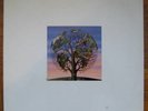 TALK TALK laughing stock LP rare MARK HOLLIS 1990 vinyl