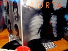 ORIG 1969 AORTA 1st ORGAN FUZZ + EFFECTS   Psych Garage