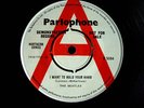 BEATLES I WANT TO HOLD YOUR HAND DEMO BEAUTIFUL COPY