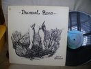 DAVID CHALMERS PRIMEVAL ROAD FOLK-ROCK PSYCH PRIVATE 76