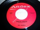 THE RAIDERS HOCUS POCUS  ANDEX 4015 PROMO  ROCKABILLY
